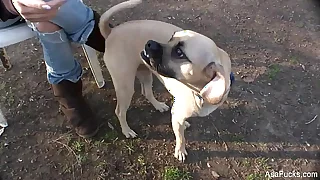 4962 asian porn porn videos